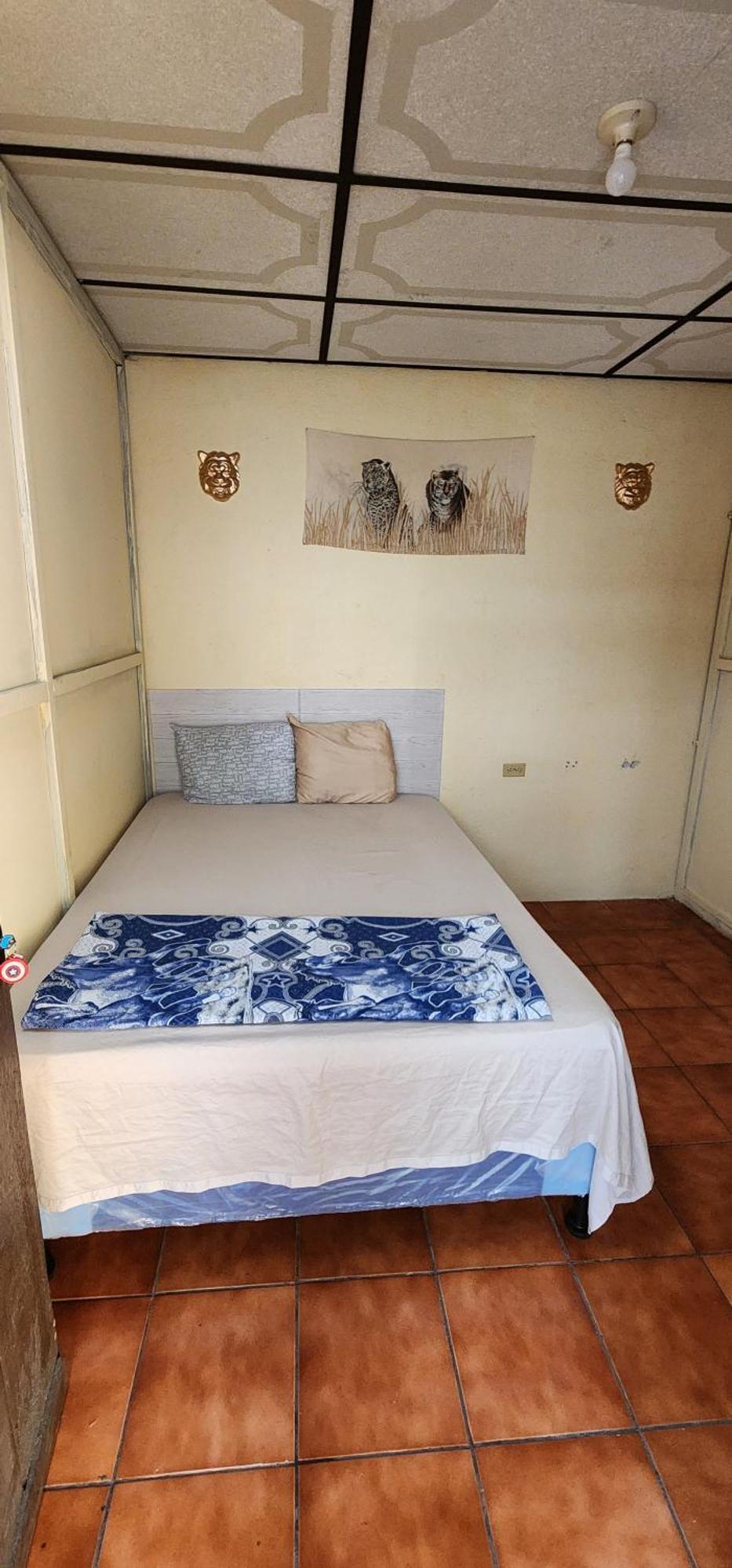 Jaguar Basic Accommodation Antigua Exterior foto